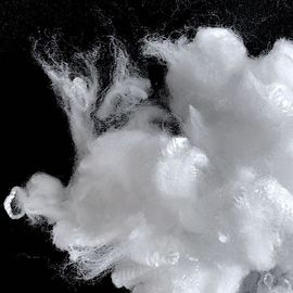 2Dx38MM Bicomponent Ethylene Propylene Side By Side ES Fiber 2d