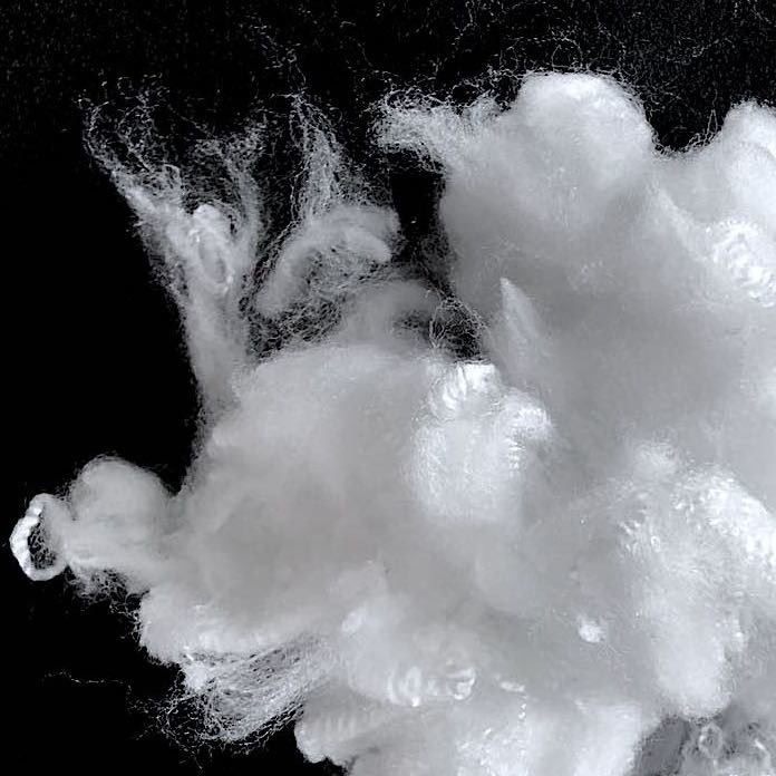 2Dx38MM Bicomponent Ethylene Propylene Side By Side ES Fiber 2d